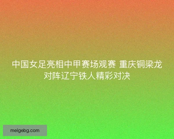 中国女足亮相中甲赛场观赛 重庆铜梁龙对阵辽宁铁人精彩对决